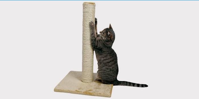 Skrapepost for katt