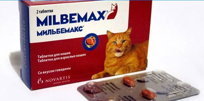Piller for katter Milbemax i pakken