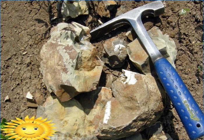 Geologisk hammer