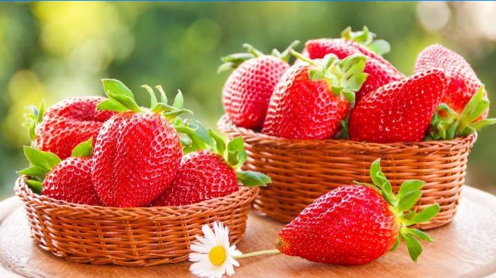 Hvordan velge jordbær