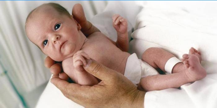 Nyfødt i hendene på en lege