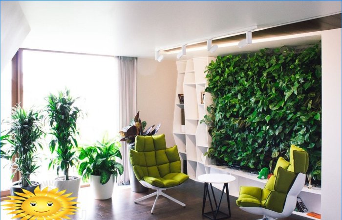 Eco vegg - vertikal hage i leiligheten