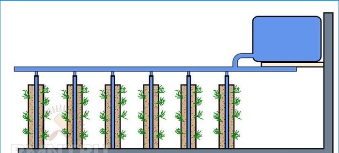 Drivhus senger: utforming og arrangement av vertikale senger