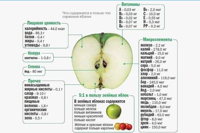 Nyttige egenskaper til eple