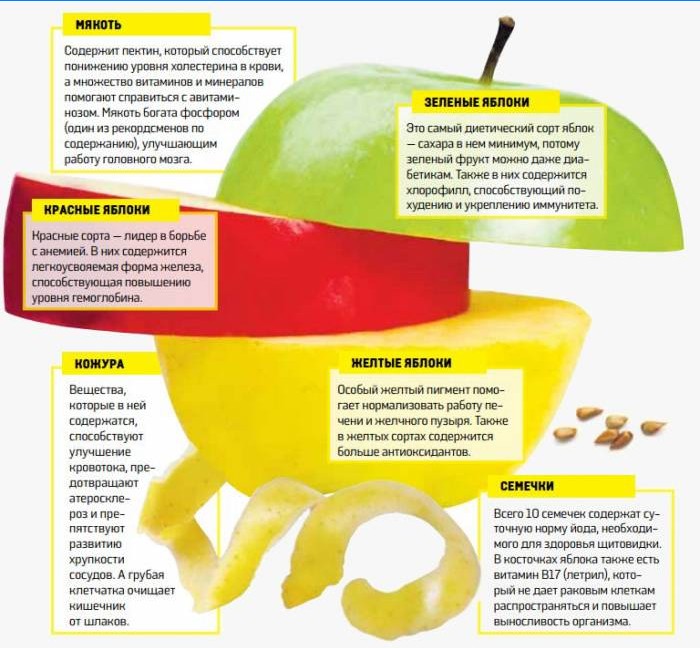 Fordelene med epler av forskjellige varianter