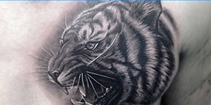 Tigerhode tatovering