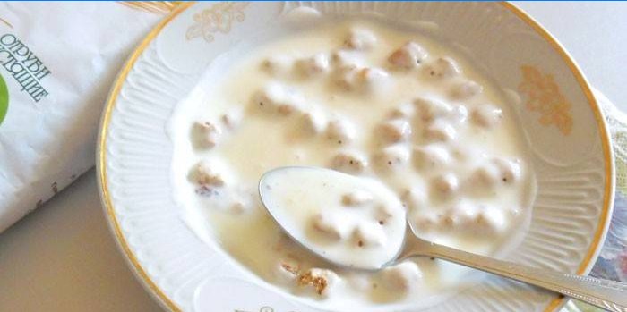 Med hjemmelaget yoghurt i en tallerken