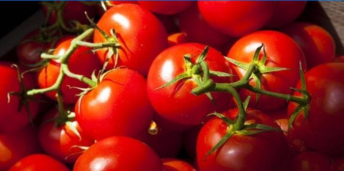 Tomater Yablonka fra Russland