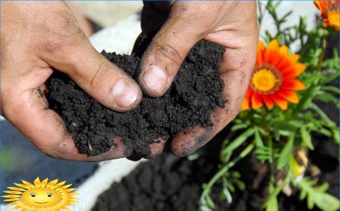 Organisk jordbruk: slutte å knuse jord ved å grave og luke