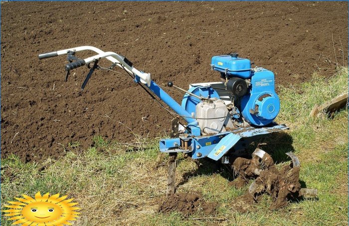 Organisk jordbruk: slutte å knuse jord ved å grave og luke