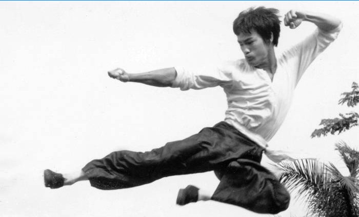 Jeet Kune-Do av Bruce Lee