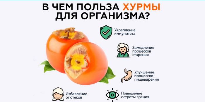 Nyttige egenskaper av persimmoner for kroppen