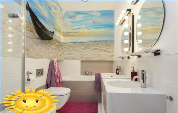 Design og dekorasjon av det kombinerte badet: 20 fotoideer