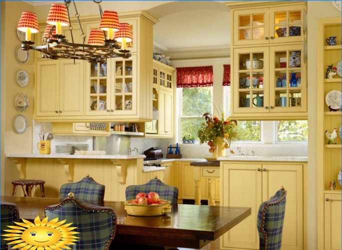 Glanset og matt fasader på kjøkkenet: fordeler og ulemper, utvalgskriterier