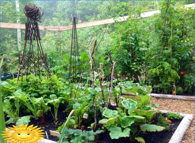 Organisk jordbruk: hvordan lage smarte senger