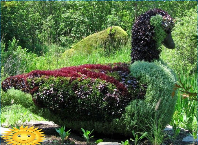 Topiary - skulpturer fra busker og trær