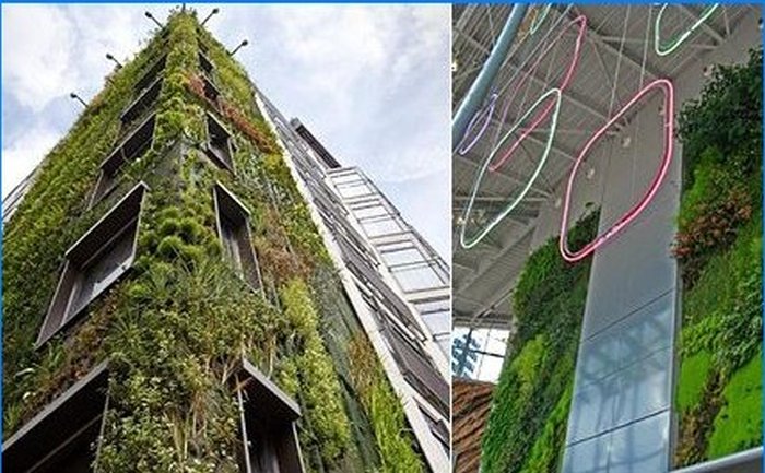 Vertikale plantevegger og hager