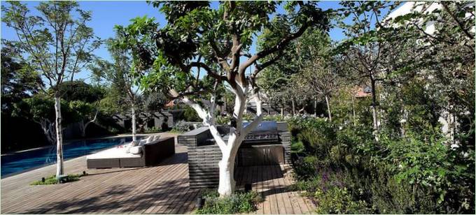Trær på terrassen Til Ramat Hasharon House 10