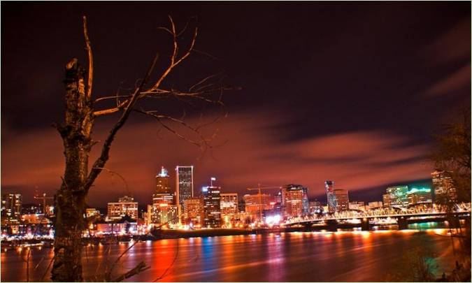 Utsikt over natten Byen Portland