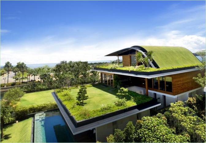 Det grønne taket på huset