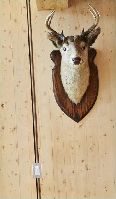 Residence Cross-Laminert Tømmer-hjort hodet (fylt) på veggen som et flott tillegg til interiøret