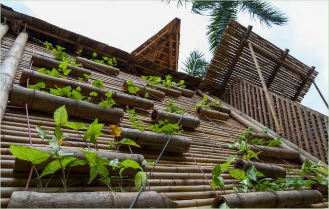 Vertikal hage på fasaden av et bambushus BB Home