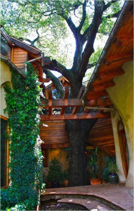 Et tre som vokser inne i et hus: en stamme som en søyle-prosjekt 1