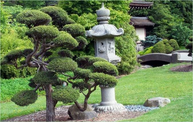 Landskapsdesign Av En Japansk hage