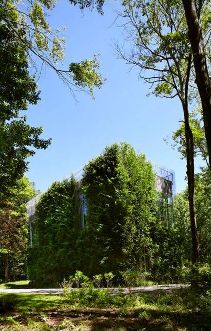 Hus av arkitekt Robert Young i en pittoresk skog
