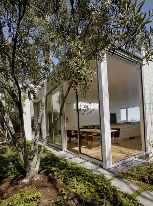 Landskapsarbeid i nabolaget huser Sausalito Hillside Remodel Av Turnbull Griffin Haesloop Architects