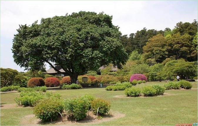 Hotell I Nærheten av Kairaku-en Gardens Park In Mito