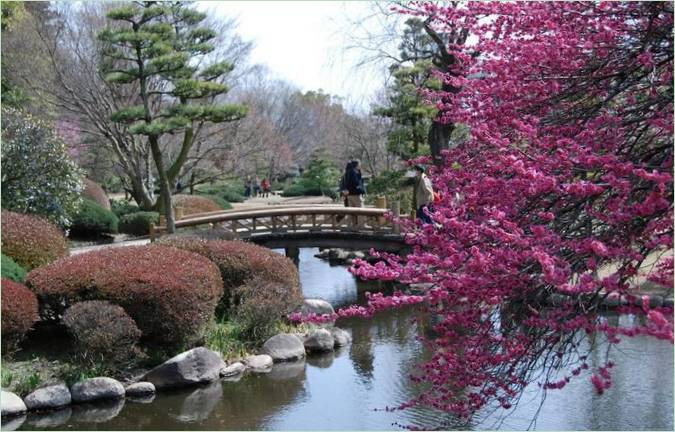 Kairaku-En Gardens Park I Mito