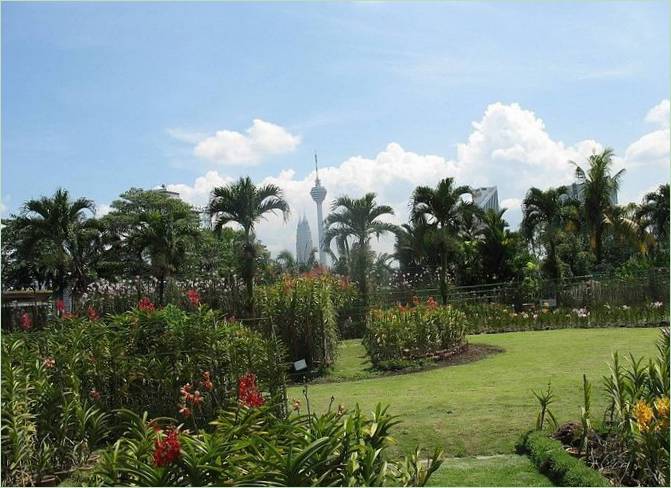 Orchid Garden I Kuala Lumpur