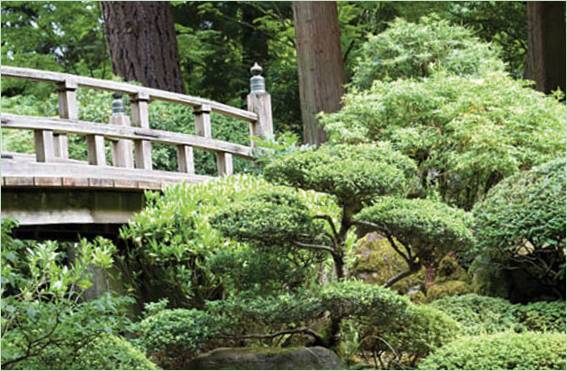 Landskapsdesign av hagen I Japansk stil