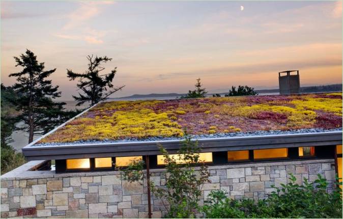 Regnvannsinnsamling på dacha: grønt tak