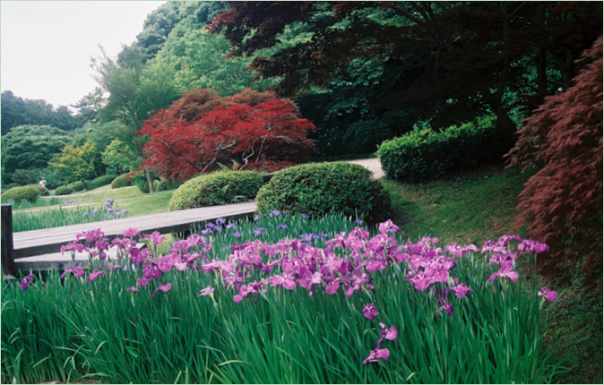 Hoteller i Nærheten av Symphony Of People And Nature exhibition In Hamamatsu Park